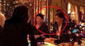 明星赌博爆料视频,明星赌博内幕视频曝光，揭秘奢华赌场幕后真相  第1张